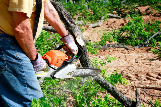 Best Utility Line Clearance  in Briar, TX